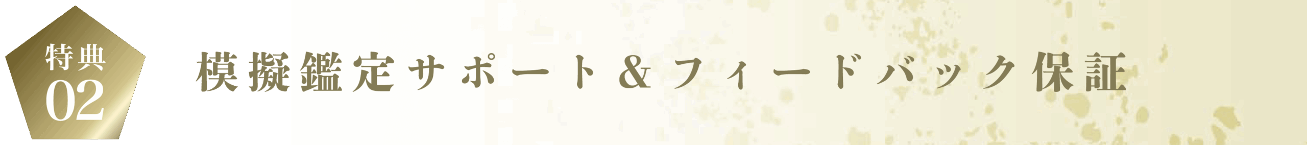 模擬鑑定サポート