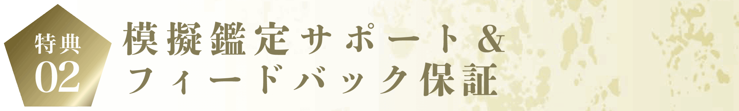 模擬鑑定サポート