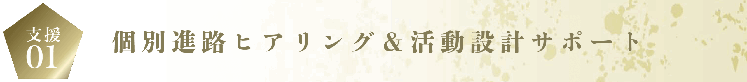 進路ヒアリング活動設計サポート