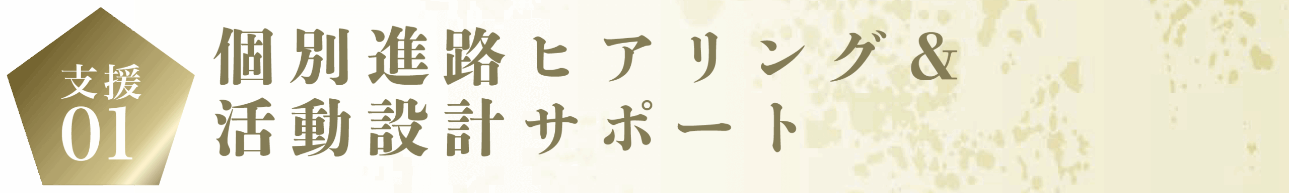 進路ヒアリング活動設計サポート