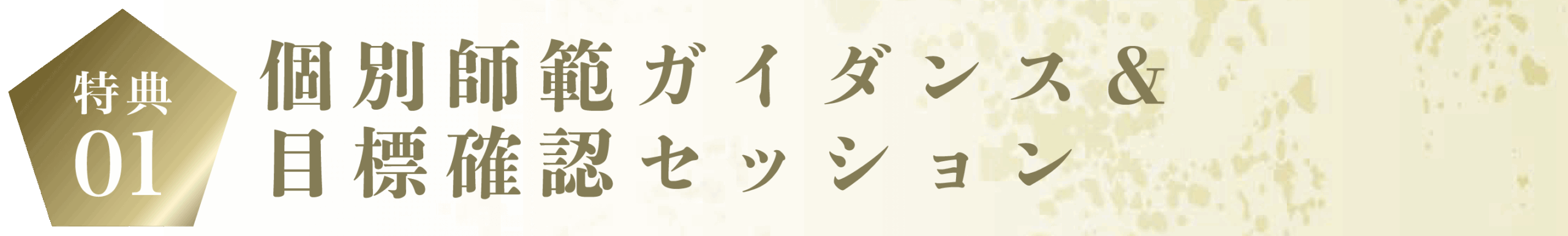 目標確認セッション